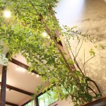 20130928ikebana4