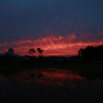 20140530keshiki2