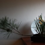 20150102ikebana8