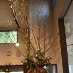 20150305ikebana3