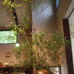 20150425ikebana3