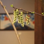 20160403ikebana1