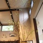 20160403ikebana5