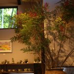 20161211ikebana5