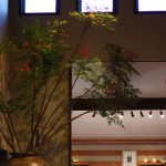 20161211ikebana6